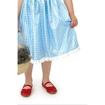 Little Adventures - Kansas Girl With Bow Toddler Costume Image 6