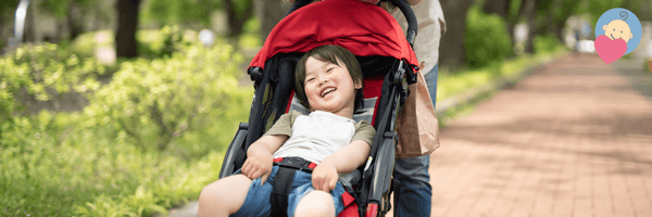 Baby Stroller: A Guide for Parents - MacroBaby