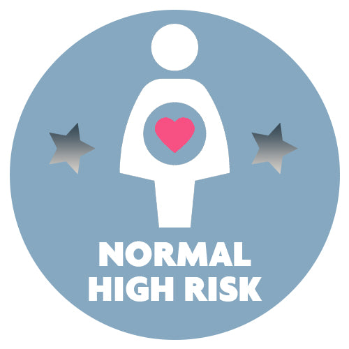 Icone para pacote parto normal high-risk 