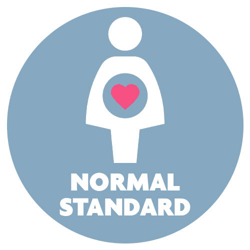 Icone para pacote parto normal standard