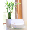 Crane - Personal Humidifier With Aroma Diffuser Function And Color Changing Light Image 5