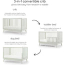 Dadada - Baby Soho 3-in-1 Convertible Wooden Crib to Toddler Bed, Sage Image 3
