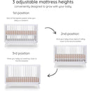 Dadada - Baby Soho 3-in-1 Convertible Wooden Crib to Toddler Bed, White Image 2