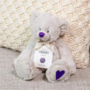 Demdaco - February Birthstone Plush Bear Image 5