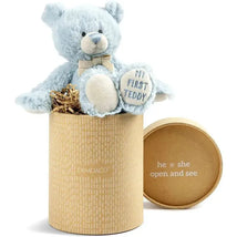 Demdaco - Gender Reveal Teddy Bear, Boy Image 3