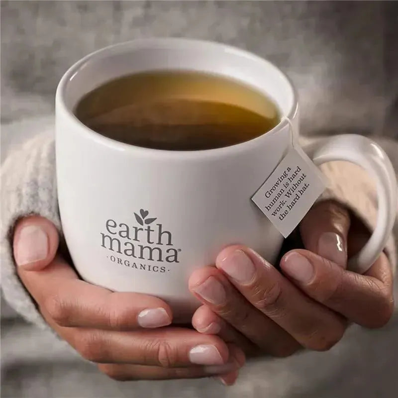 Earth Mama - Organic Heartburn Tea Image 2