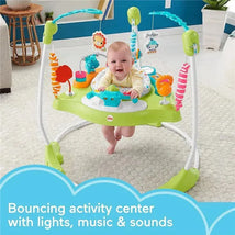 Fisher-Price - Fitness Fun Folding Jumperoo Image 2