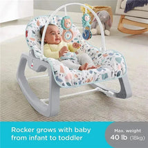 Fisher-Price Infant-to-Toddler Rocker, Pebbles Image 2