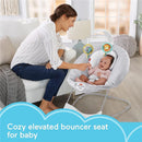 Fisher Price - See & Soothe Deluxe Bouncer Image 9