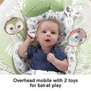 Fisher Price - Snow Leopard Deluxe Baby Bouncer Seat with Soothing Sounds Image 7