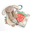 Itzy Ritzy - Itzy Learn & Snuggle Gitf Set, Bunny Image 1