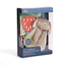 Itzy Ritzy - Itzy Learn & Snuggle Gitf Set, Bunny Image 5