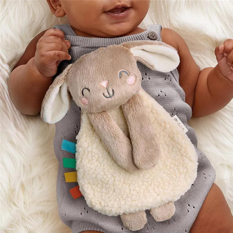 Itzy Ritzy - Itzy Learn & Snuggle Gitf Set, Bunny Image 9