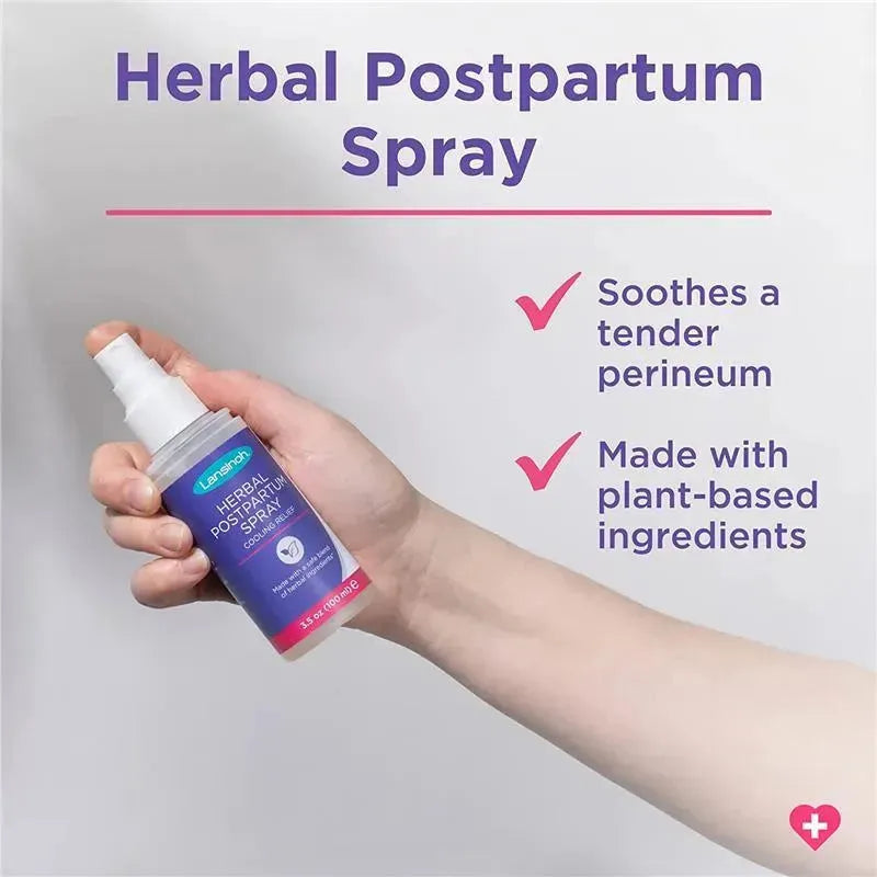 Lansinoh - Postpartum Recovery Essentials Image 3