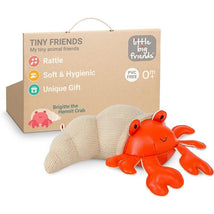 Little Big Friends - Tiny Friends Rattle Toy, Brigitte The Hermit Crab Image 1