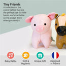 Little Big Friends - Tiny Friends Rattle Toy, Leon The Pig Image 3