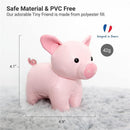 Little Big Friends - Tiny Friends Rattle Toy, Leon The Pig Image 4