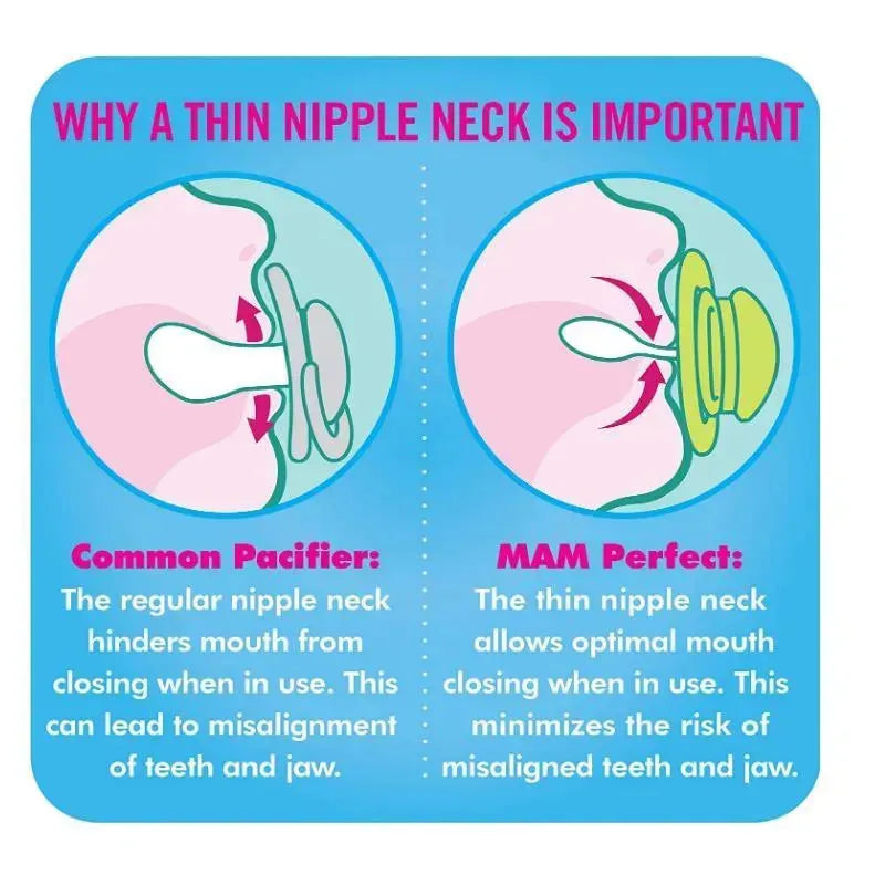 MAM 2-Pack Perfect Pacifier 6M+ - Pink/Purple Image 6