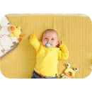 Mam - 2Pk Girl Deep Sea Pacifier, 0/6M Image 11