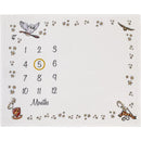 Nojo - Warner Brothers Harry Potter Magical Moments Milestone Blanket Image 1