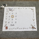 Nojo - Warner Brothers Harry Potter Magical Moments Milestone Blanket Image 4