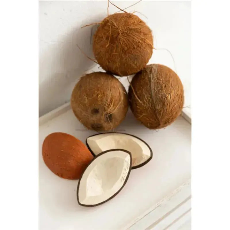 Oli & Carol - Coco The Coconut, Chewable toy Image 3