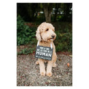 Pearhead Baby Announcement Chalkboard W/Adjustable Ribbon For Pets Image 6