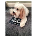 Pearhead Baby Announcement Chalkboard W/Adjustable Ribbon For Pets Image 3