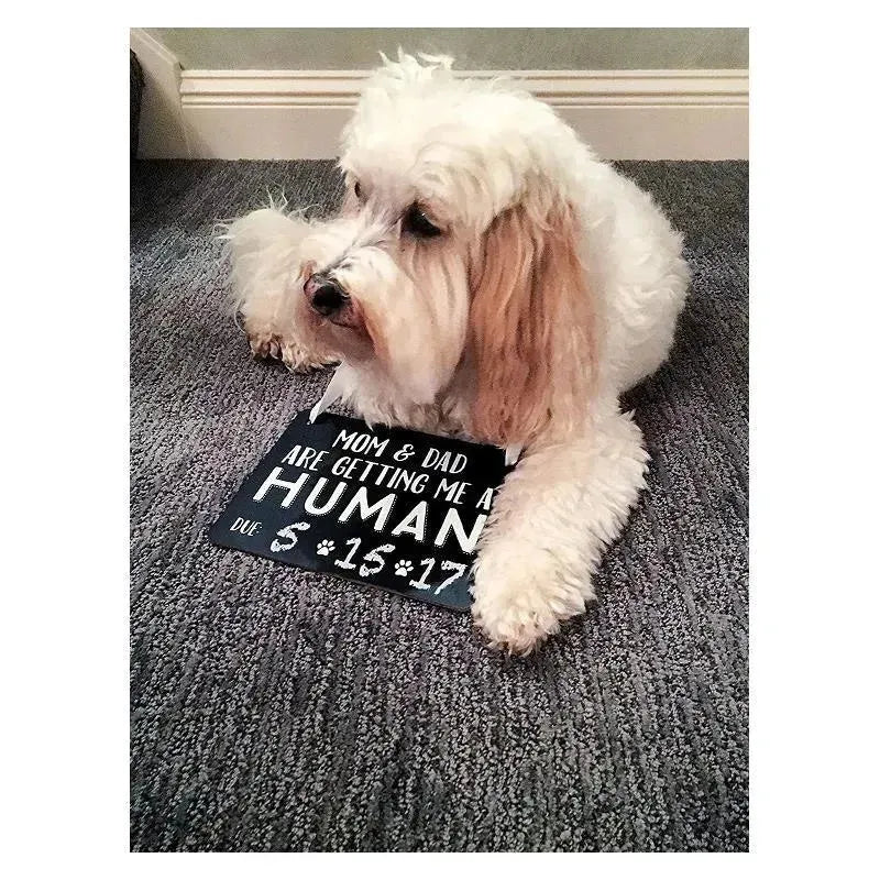 Pearhead Baby Announcement Chalkboard W/Adjustable Ribbon For Pets Image 3