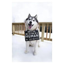 Pearhead Baby Announcement Chalkboard W/Adjustable Ribbon For Pets Image 4
