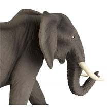 Safari - African Elephant Image 2