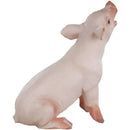 Safari Ltd Sitting Piglet Safari Farm Image 6