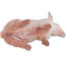 Safari Ltd Sitting Piglet Safari Farm Image 2