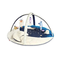 Skip Hop - Celestial Dreams Activity Gym 0+ Image 1