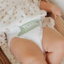 Terra - 20Ct 85% Plant-Based Diapers, Size 3 Image 2