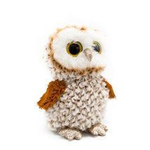 Ty Percy Owl, Medium | Owl Stuffed Animal Image 1
